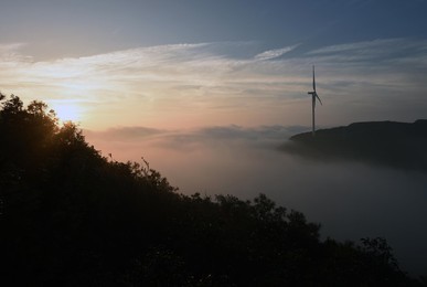 Image 307812569