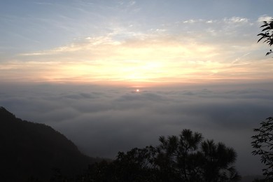 Image 307812574