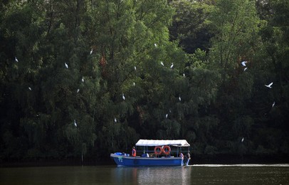Image 307956745