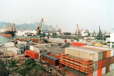 Image 307959525