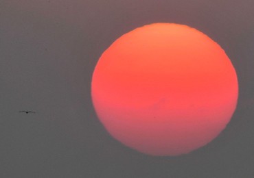 Image 308716586