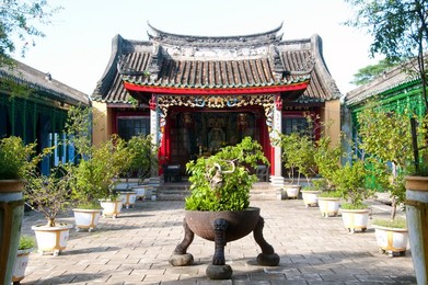 Image 309363041