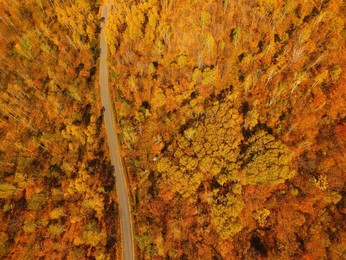 Image 309414391