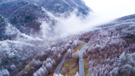 Image 309499752