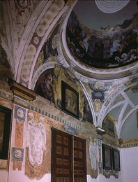 Image 310063251