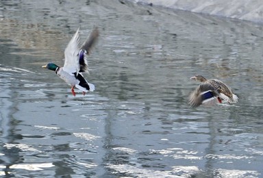 Image 310278947