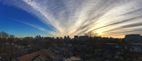 Image 310428946