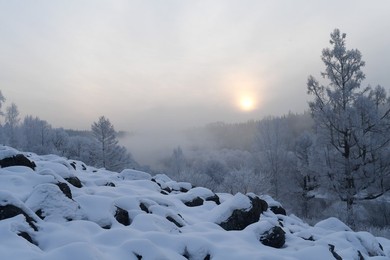 Image 312418660