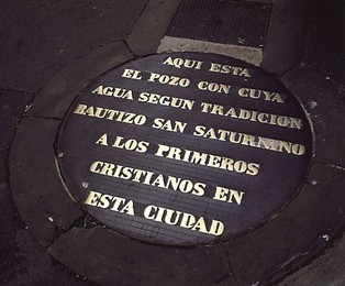 Image 314313256