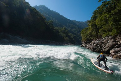 Image 320919044
