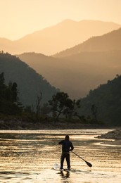Image 320919051