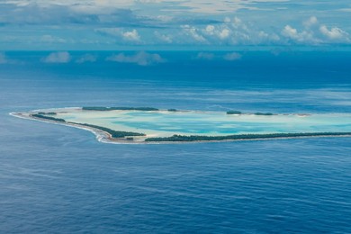 Image 320922389