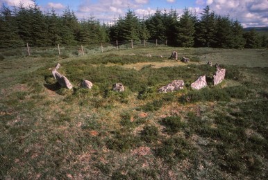 Image 320927698