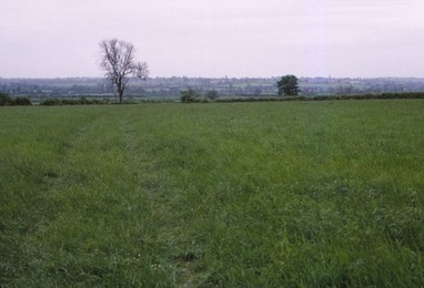 Image 320927703