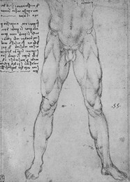 Image 320962317