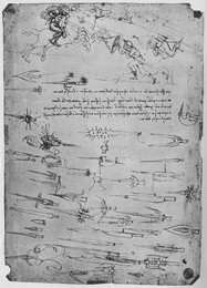 Image 320962330