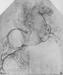Image 320962656