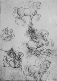 Image 320962676