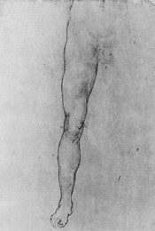 Image 320962721