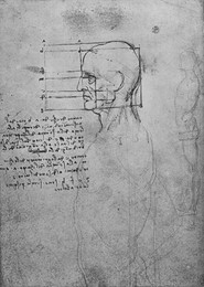 Image 320964027