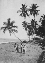 Image 320964180