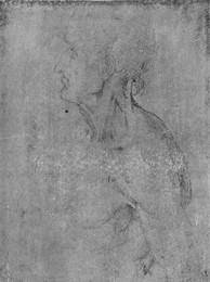 Image 320964383