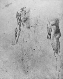 Image 320965046