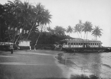 Image 320965161