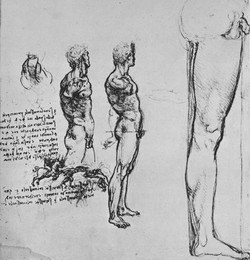 Image 320965469