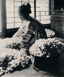 Image 320972934
