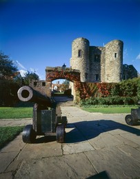 Image 320973645
