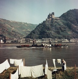 Image 321074785
