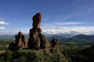 Image 322001178