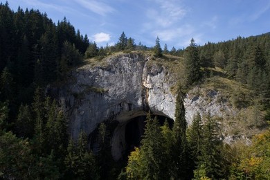 Image 322225157