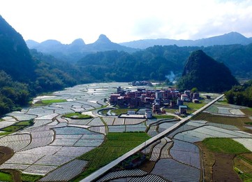 Image 325251766