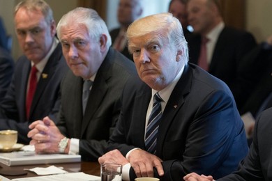 US President Donald J. Trump meets with members of his Cabinet