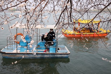 Image 325762661