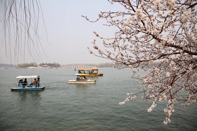 Image 325762669