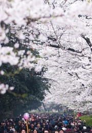 Image 325894684