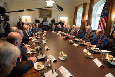 Trump and Cabinet Meet Prime Minister Haider al-Abadi of Iraq