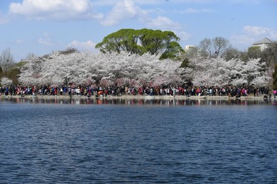 Image 326583752