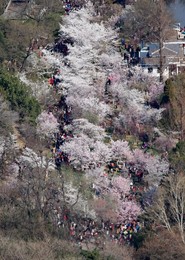 Image 326680072