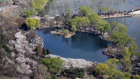 Image 326680849