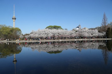 Image 326680866