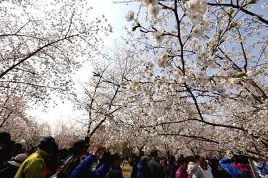 Image 326821907