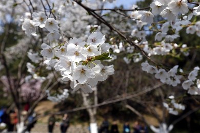Image 326821912