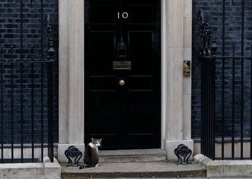 Image 326961024