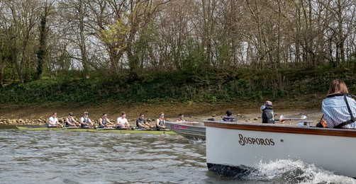 Image 327147851