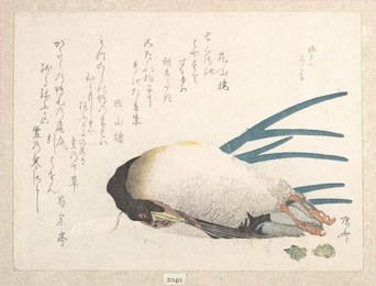 Image 327253892