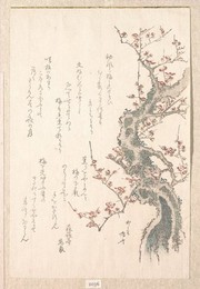 Image 327253899